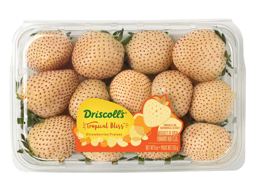 tropical strawberries
