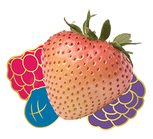 Specialty B=berries