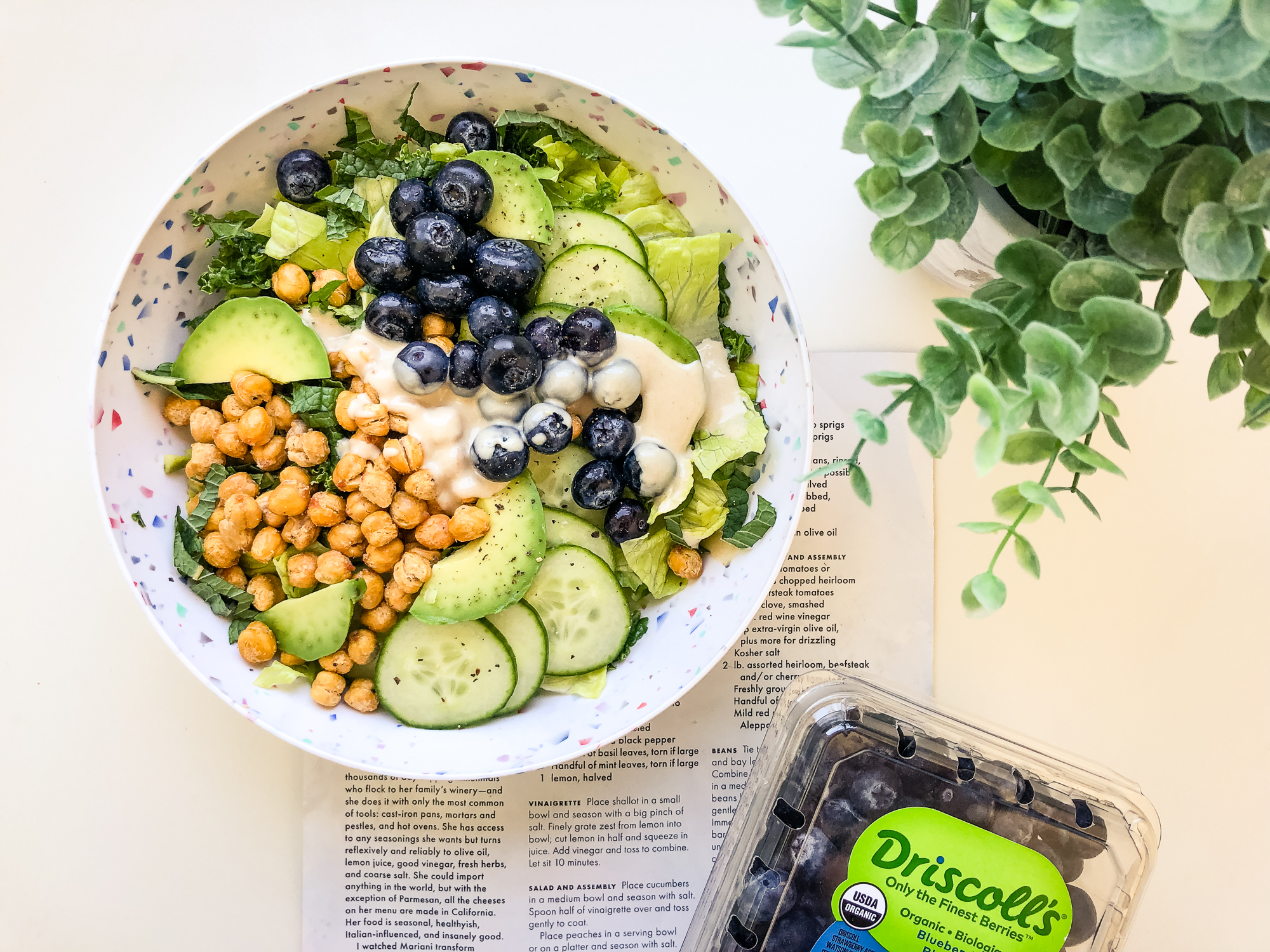 Blueberry Chickpea Salad with a tahini dressing, avocados, and cucumbers sprinkled on top. Salad is contained in a white bowl with colorful flakes placed next to a Driscoll's blueberry clamshell and an indoor plant. 