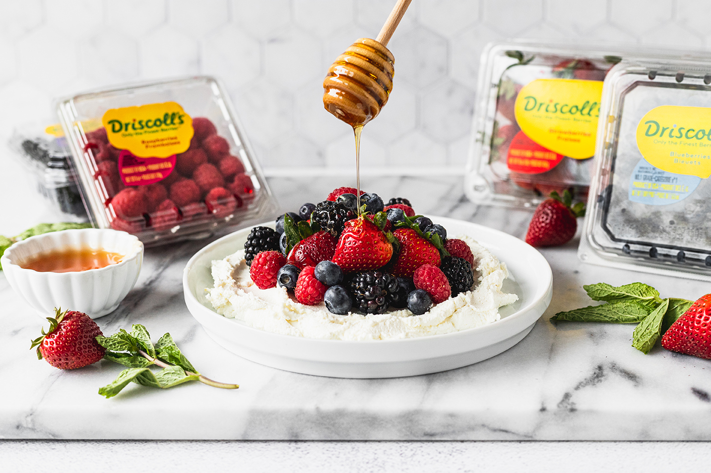 Goat Cheese Appetizer with Mixed Berries