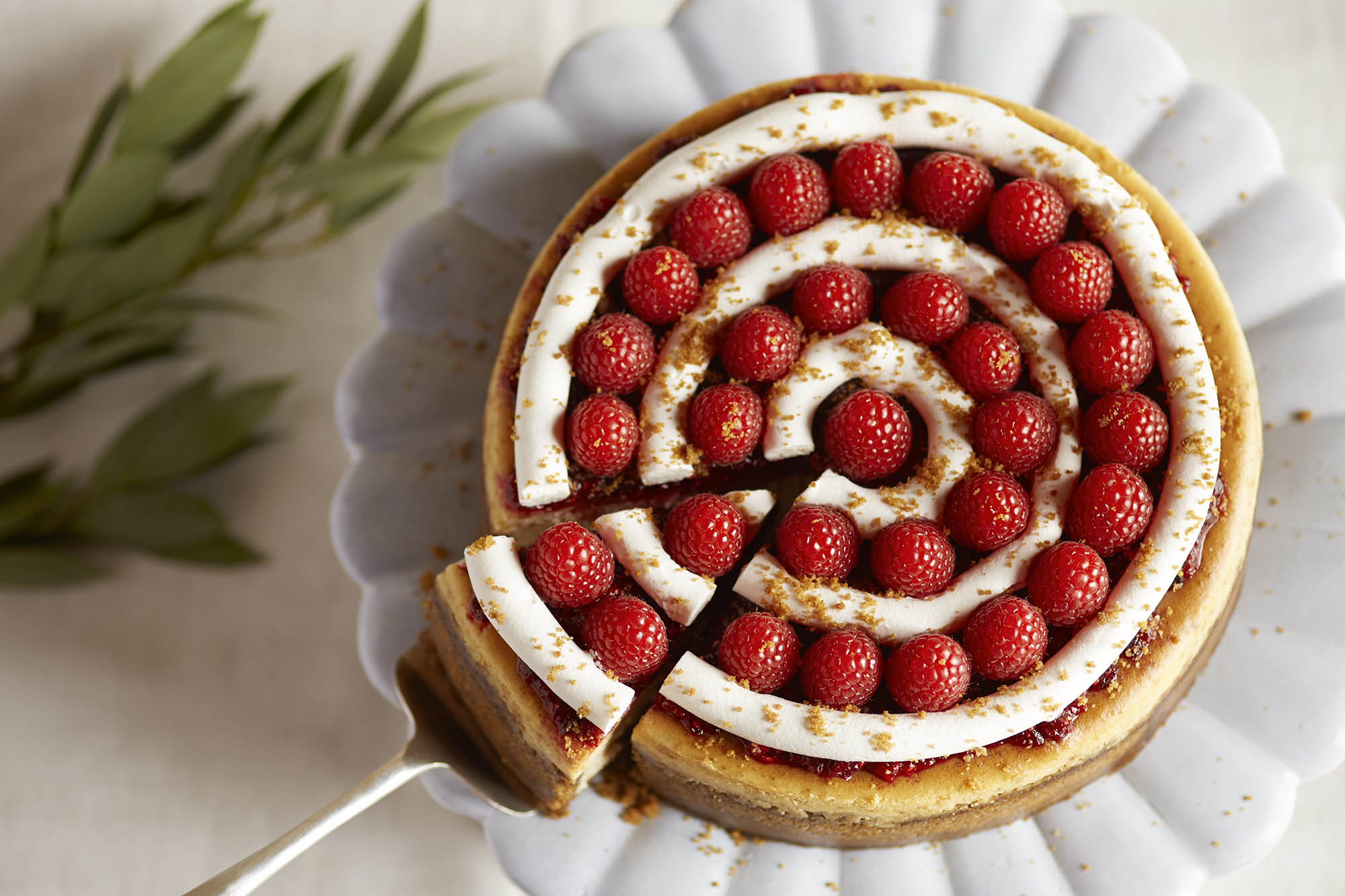 Raspberry Cranberry Spiced Cheesecake