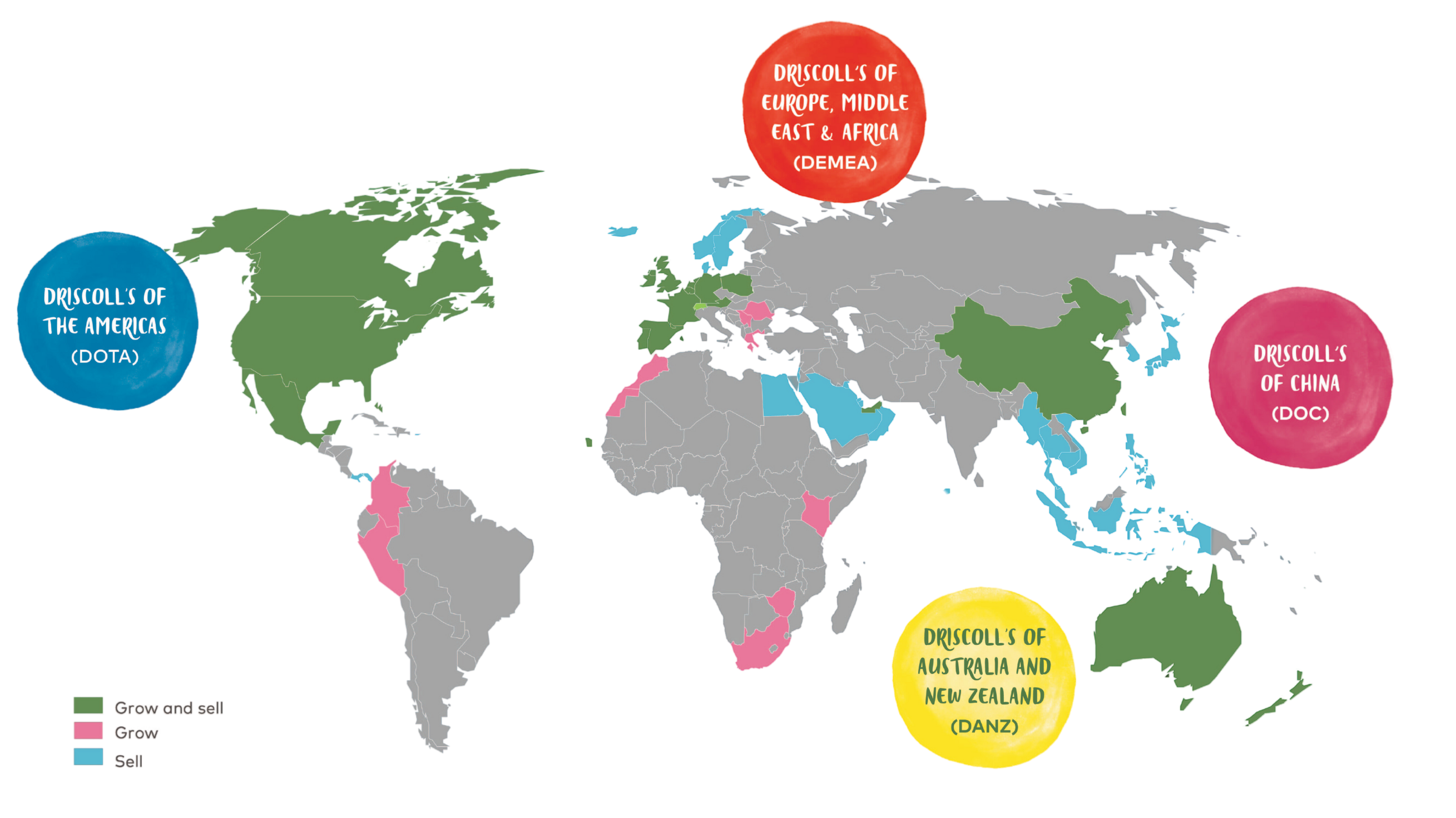 Driscoll’s global footprint