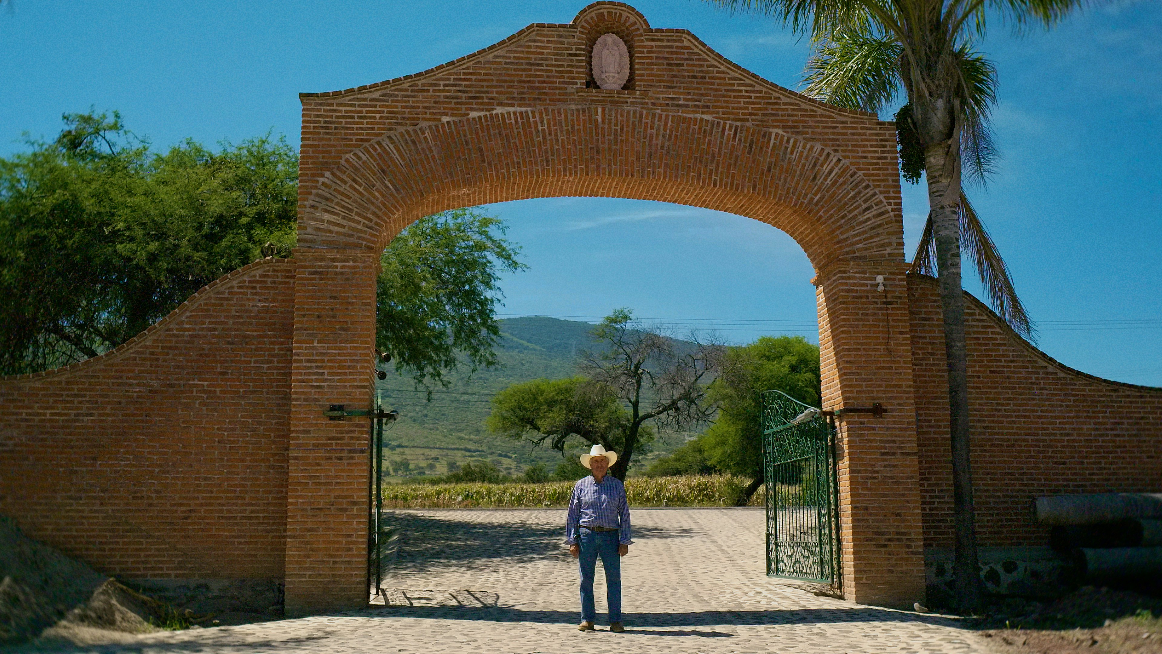 Driscoll's independent grower in Joco Mexico