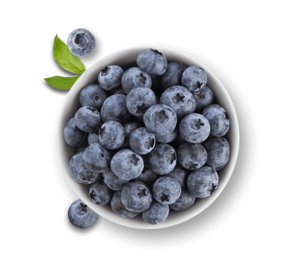 Bowl of Driscoll's blueberries