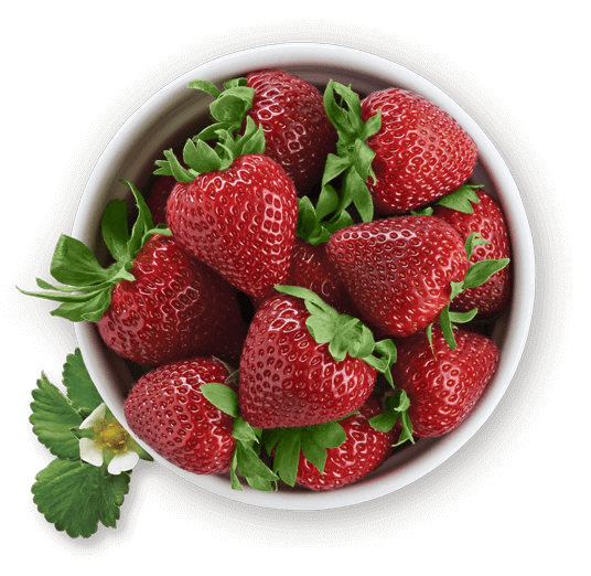 bowl of Driscoll's strawberries