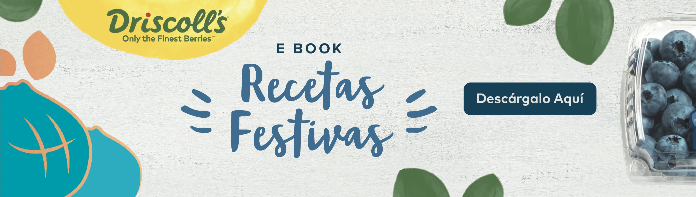 recetas festivas e boook