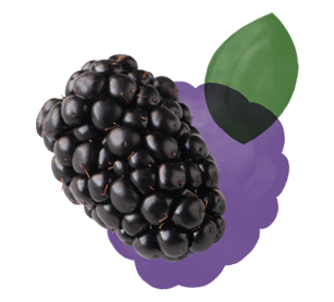 Blackberries