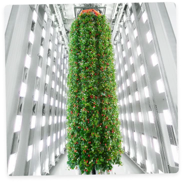 Towering vertical growing rack illuminated by LED lights, showcasing multiple levels of leafy greens growing in precise rows. The hydroponic system features pristine white panels and purple-hued lighting creating an advanced agricultural environment